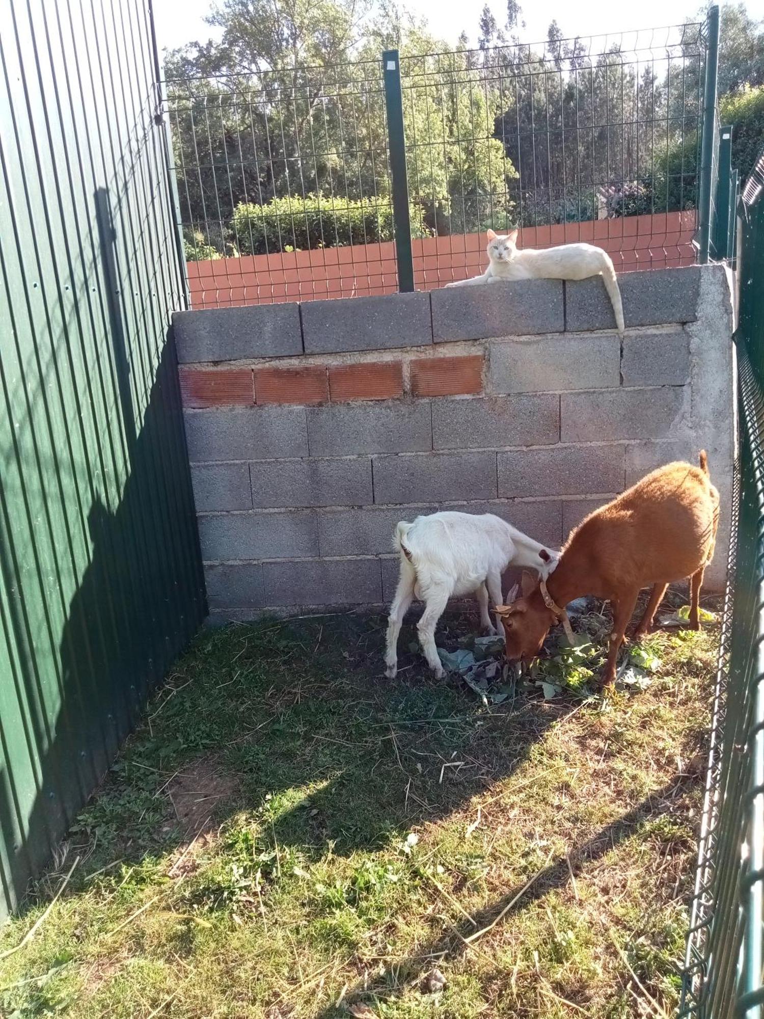 Alojamento Local - Casa Amarela Alvaiázere Zewnętrze zdjęcie